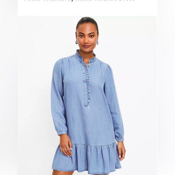 Loft Chambray Ruffle Flounce Dress - Picture 3 of 3